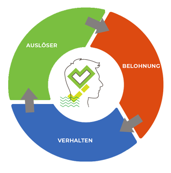 Kreislauf-Belohnungen-und-Verhalten